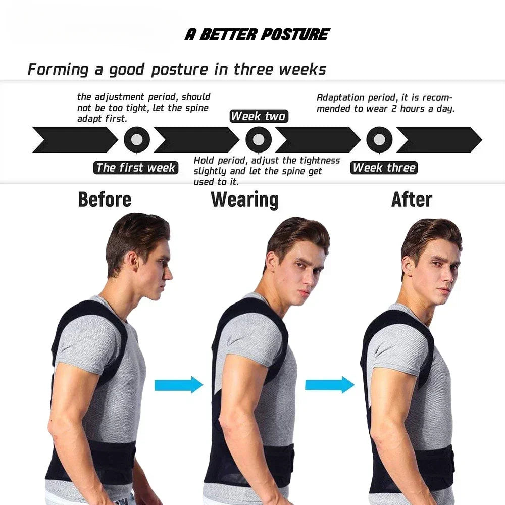 Spine Support Belt for Posture